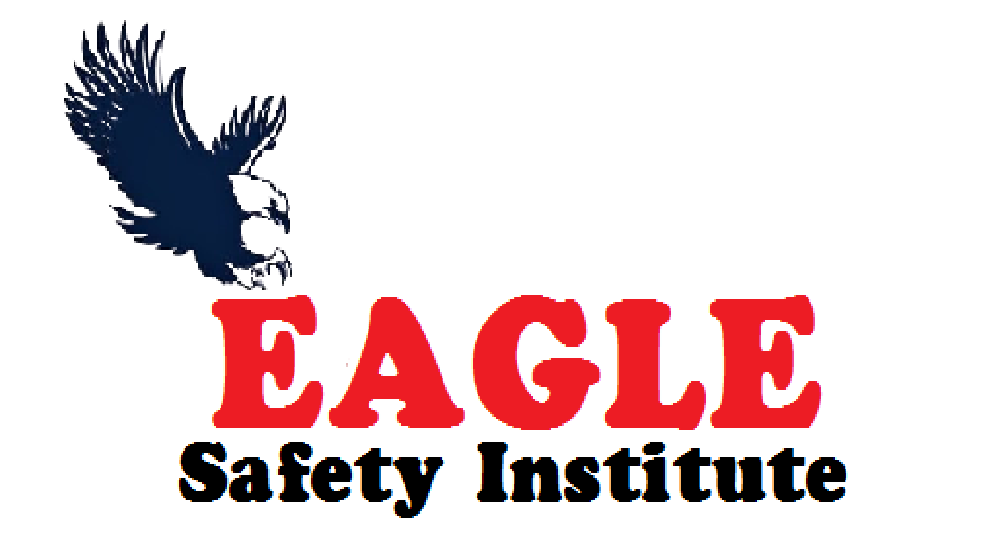 Eagle Institute