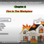 fire eagle safety institute safety officer